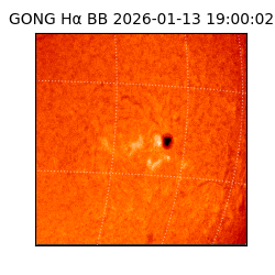 gong - 2026-01-13T19:00:02