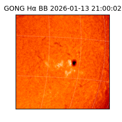 gong - 2026-01-13T21:00:02