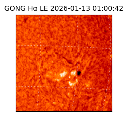 gong - 2026-01-13T01:00:42