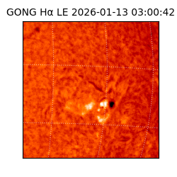 gong - 2026-01-13T03:00:42