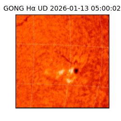 gong - 2026-01-13T05:00:02