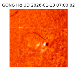 gong - 2026-01-13T07:00:02