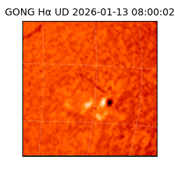 gong - 2026-01-13T08:00:02