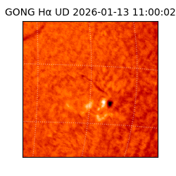 gong - 2026-01-13T11:00:02