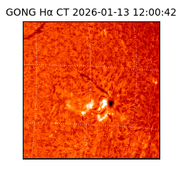 gong - 2026-01-13T12:00:42