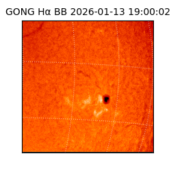 gong - 2026-01-13T19:00:02