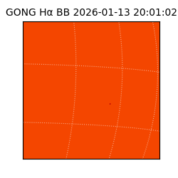 gong - 2026-01-13T20:01:02