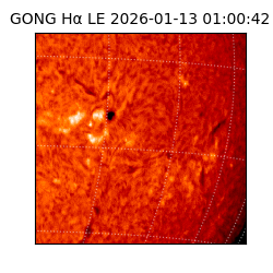 gong - 2026-01-13T01:00:42