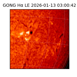 gong - 2026-01-13T03:00:42