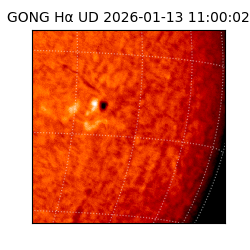 gong - 2026-01-13T11:00:02