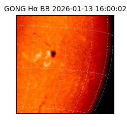 gong - 2026-01-13T16:00:02