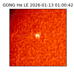 gong - 2026-01-13T01:00:42