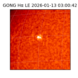 gong - 2026-01-13T03:00:42