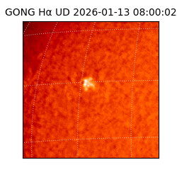 gong - 2026-01-13T08:00:02