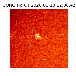 gong - 2026-01-13T12:00:42