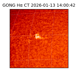 gong - 2026-01-13T14:00:42