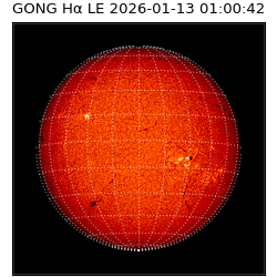 gong - 2026-01-13T01:00:42