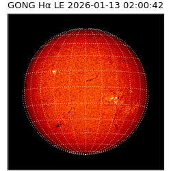 gong - 2026-01-13T02:00:42