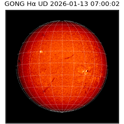 gong - 2026-01-13T07:00:02