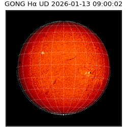 gong - 2026-01-13T09:00:02