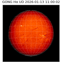 gong - 2026-01-13T11:00:02