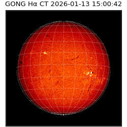 gong - 2026-01-13T15:00:42
