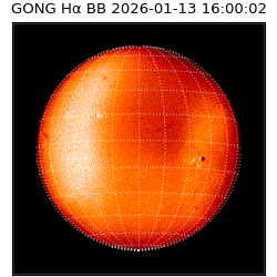 gong - 2026-01-13T16:00:02