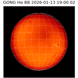 gong - 2026-01-13T19:00:02