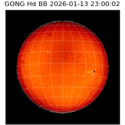 gong - 2026-01-13T23:00:02