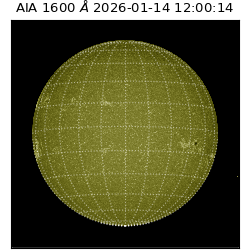 saia - 2026-01-14T12:00:14.126000