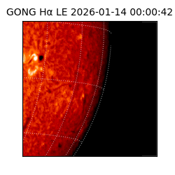 gong - 2026-01-14T00:00:42