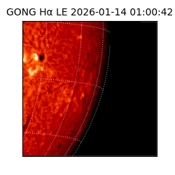 gong - 2026-01-14T01:00:42