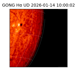 gong - 2026-01-14T10:00:02