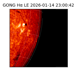 gong - 2026-01-14T23:00:42