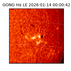 gong - 2026-01-14T00:00:42