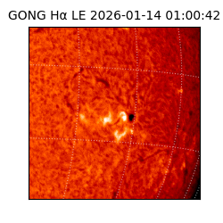 gong - 2026-01-14T01:00:42