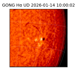 gong - 2026-01-14T10:00:02