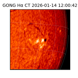 gong - 2026-01-14T12:00:42