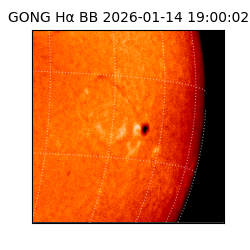 gong - 2026-01-14T19:00:02