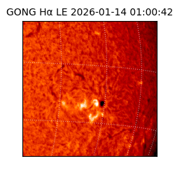 gong - 2026-01-14T01:00:42