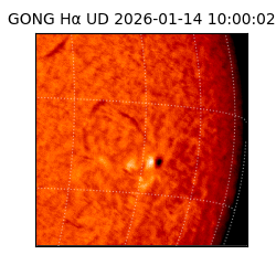 gong - 2026-01-14T10:00:02