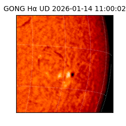 gong - 2026-01-14T11:00:02