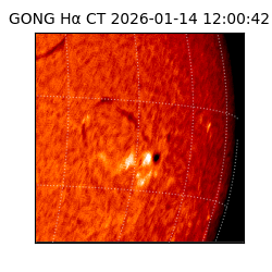 gong - 2026-01-14T12:00:42