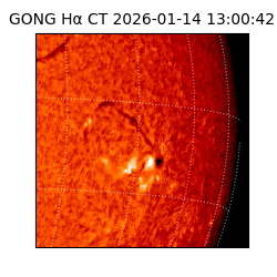 gong - 2026-01-14T13:00:42