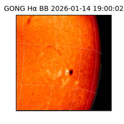 gong - 2026-01-14T19:00:02
