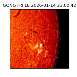 gong - 2026-01-14T23:00:42