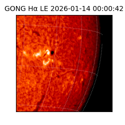 gong - 2026-01-14T00:00:42