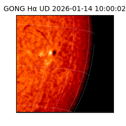 gong - 2026-01-14T10:00:02
