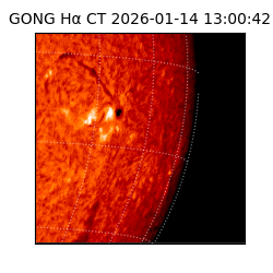 gong - 2026-01-14T13:00:42