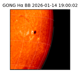 gong - 2026-01-14T19:00:02